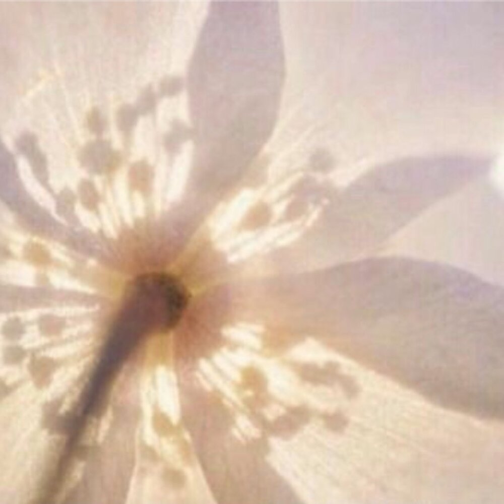 Meet your Posher, Fiona